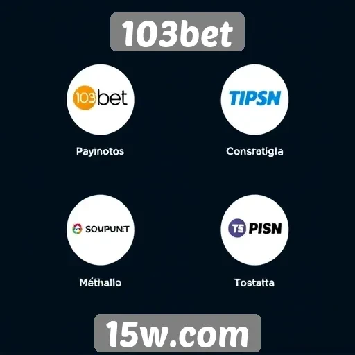Métodos de pagamento aceitos no 103bet